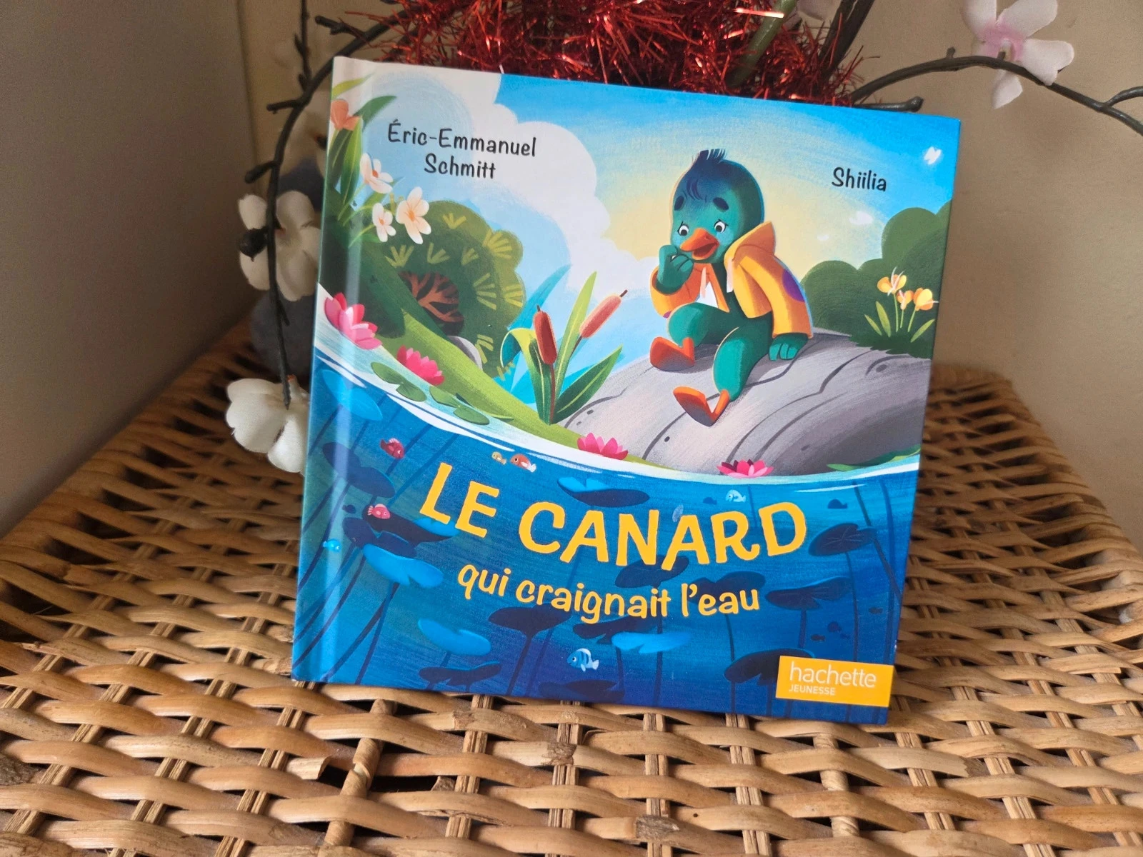 💜Le canard qui craignais l'eau livre enfant
